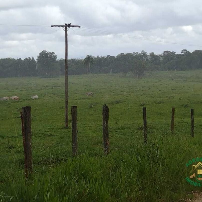 Sítio 13 Alq. em Pariquera-Açu/SP