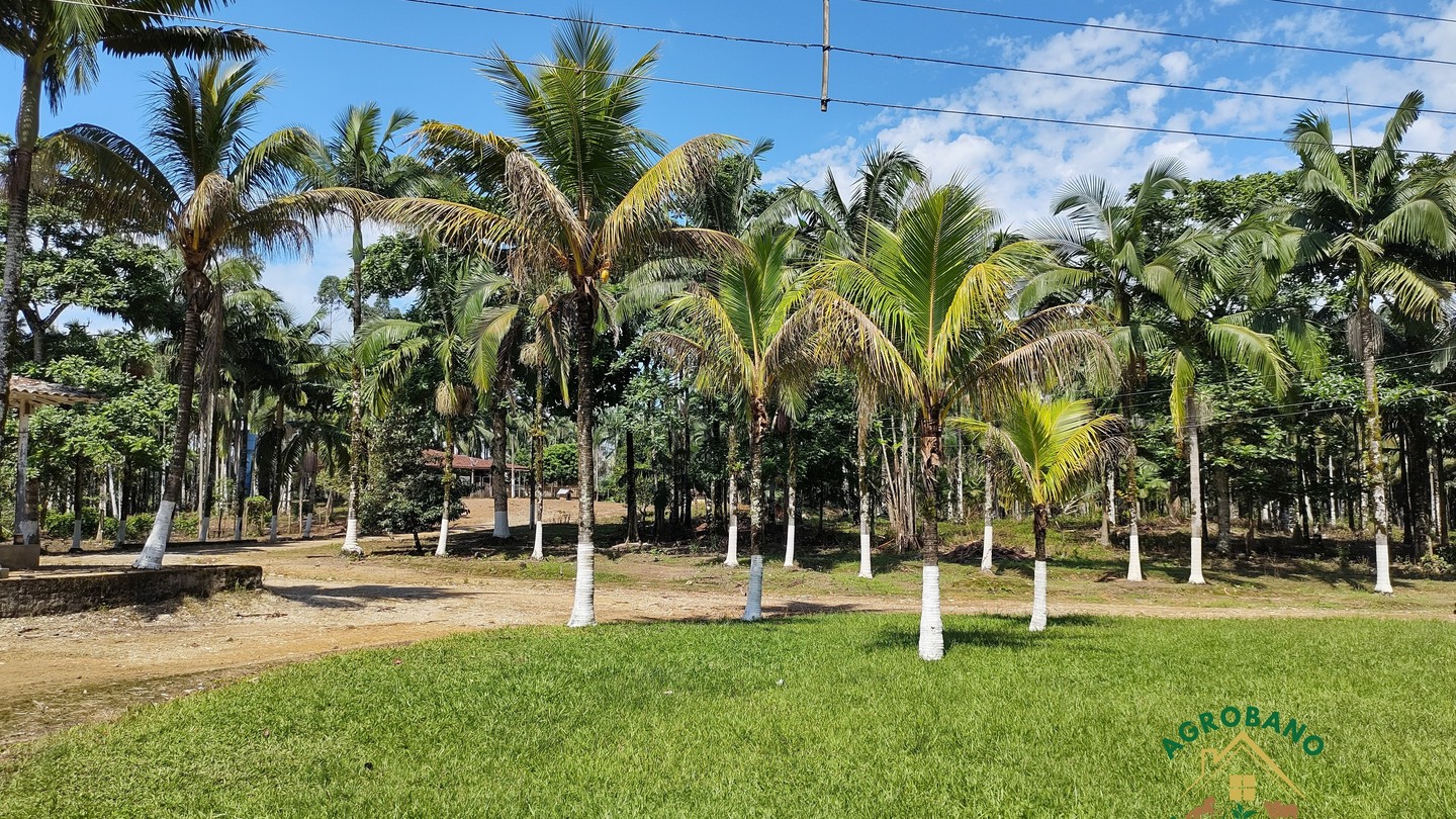 Fazenda 480 Alq. em Sete Barras/SP