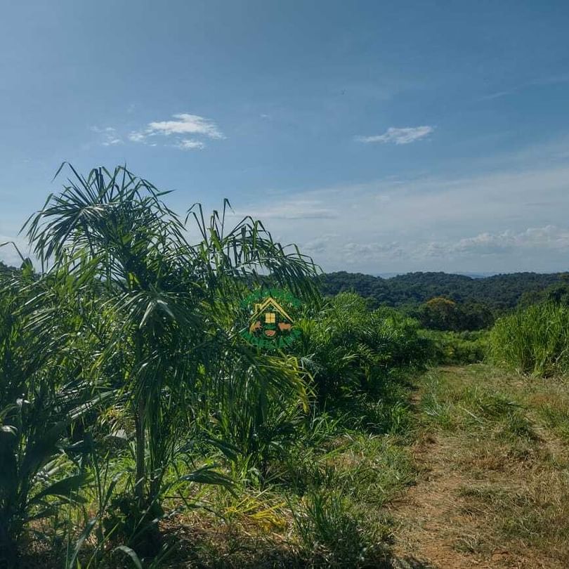 Sítio 7,5 Alq. em Registro/SP