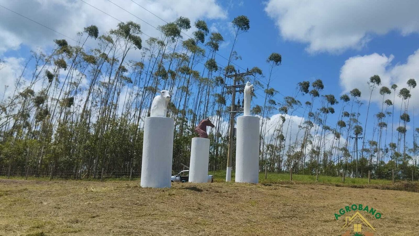 Fazenda 480 Alq. em Sete Barras/SP