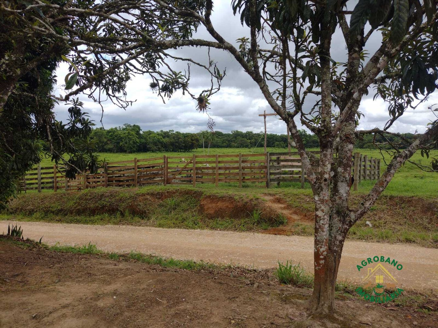 Sítio 13 Alq. em Pariquera-Açu/SP