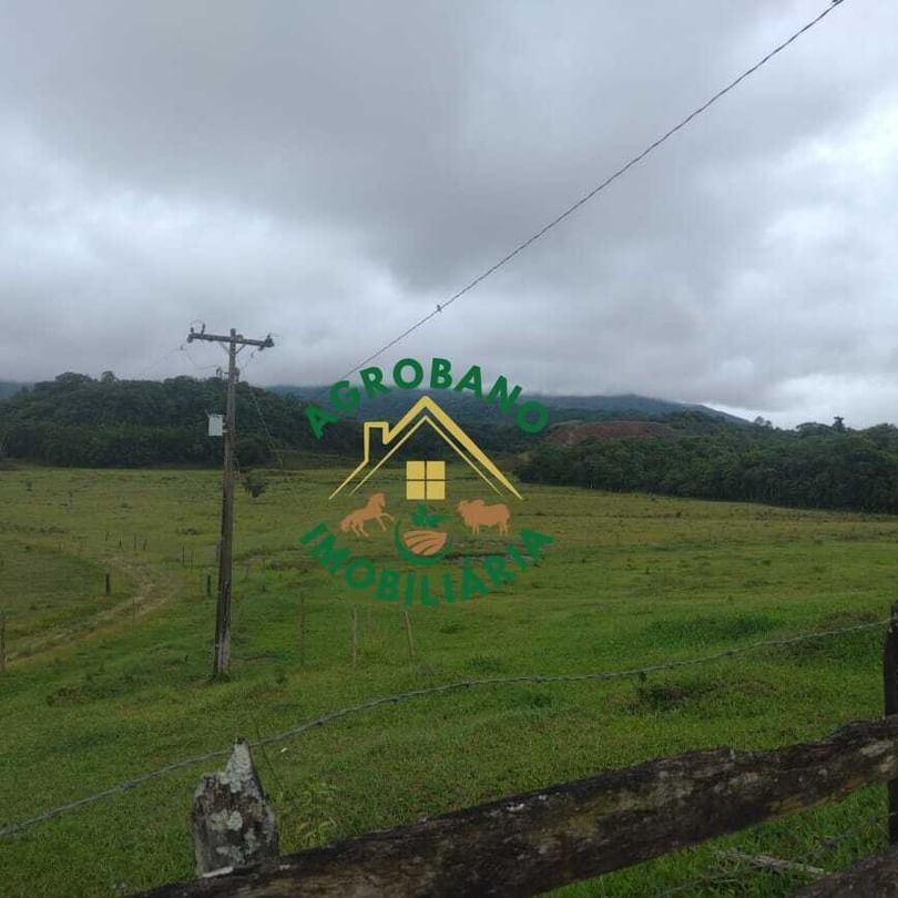 Fazenda 83 Alq. Sete Barras/SP