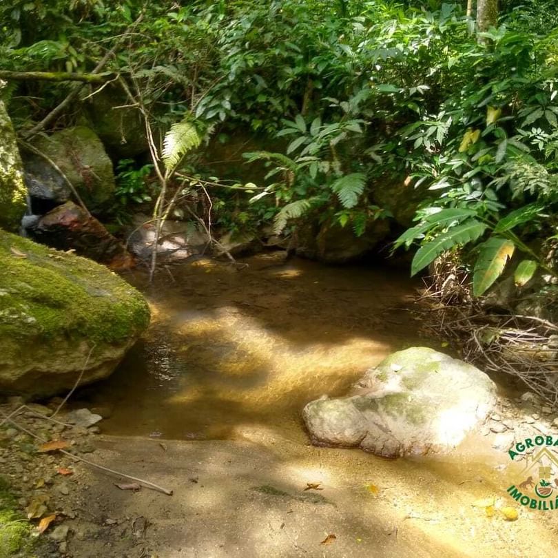 Chácara 30 mil m² em Juquiá/SP