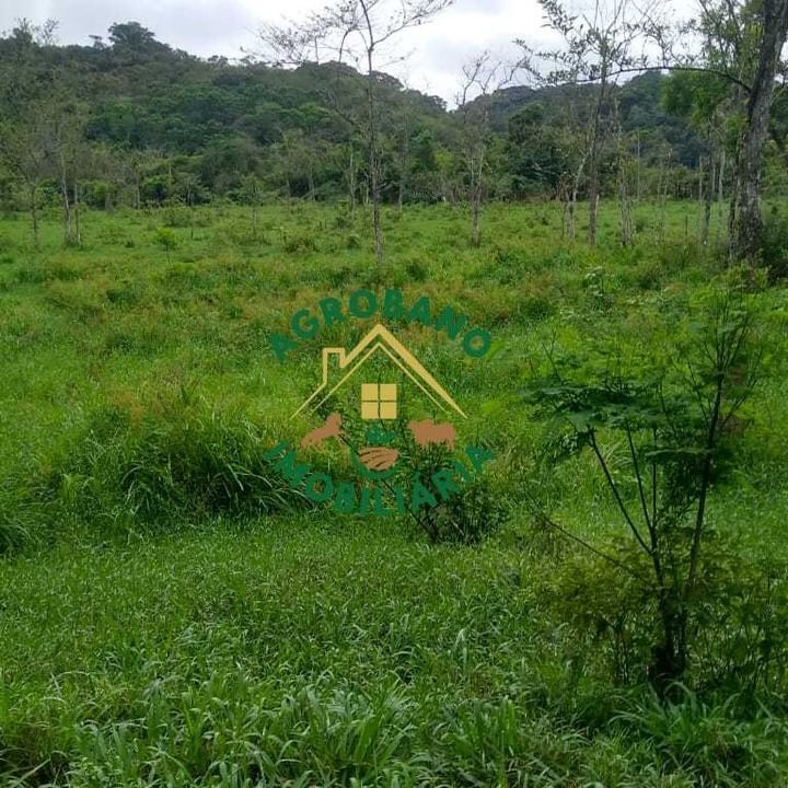 Sítio 8 Alq. em Registro/SP