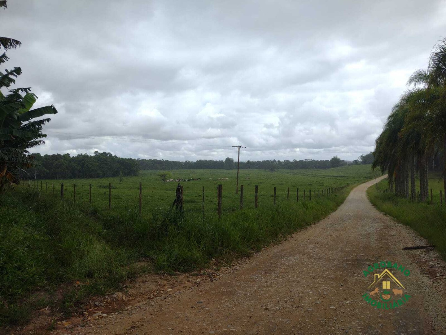 Sítio 13 Alq. em Pariquera-Açu/SP