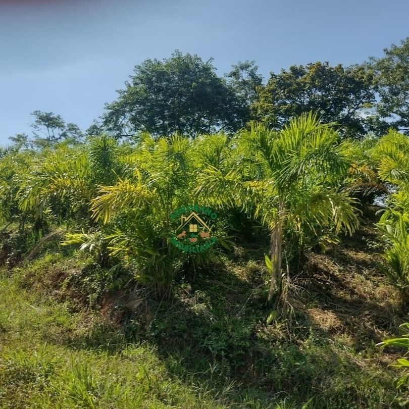 Sítio 7,5 Alq. em Registro/SP