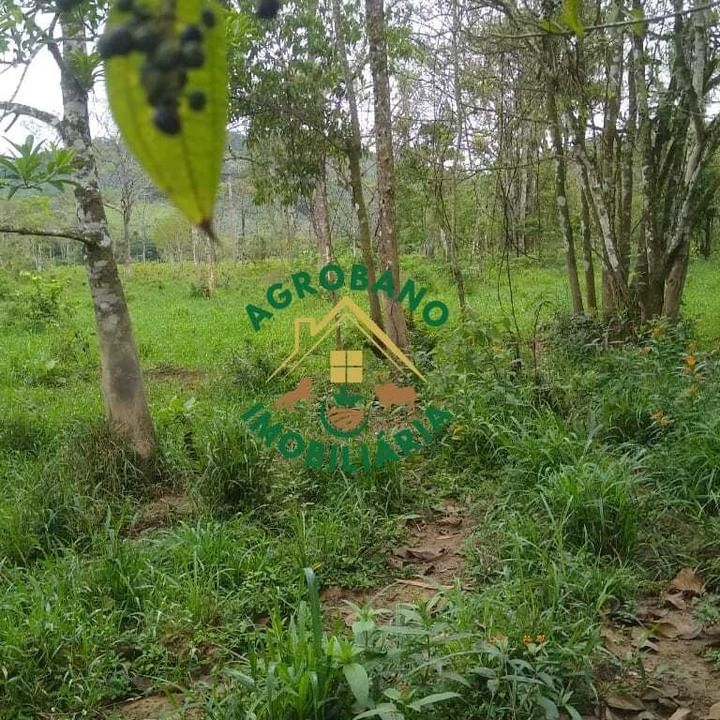 Sítio 8 Alq. em Registro/SP