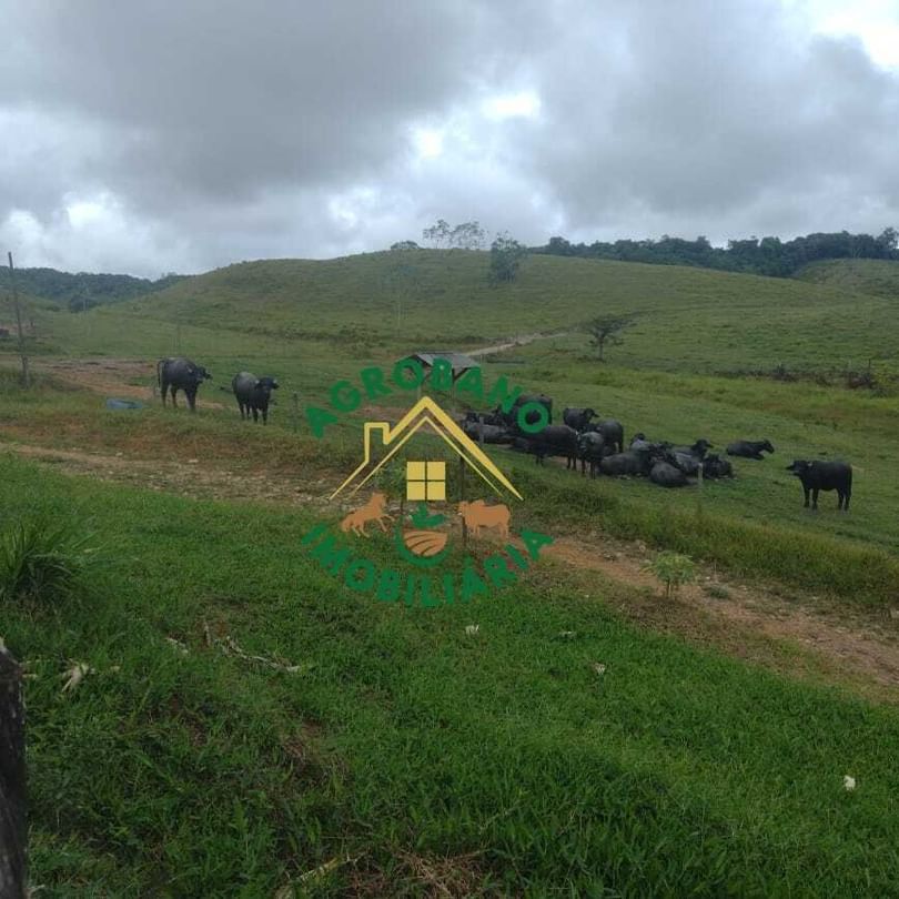 Fazenda 83 Alq. Sete Barras/SP