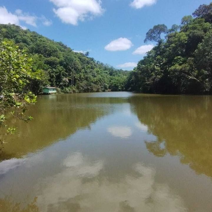 Sítio/Pesqueiro Desativado 17 Alq. em Sete Barras/SP