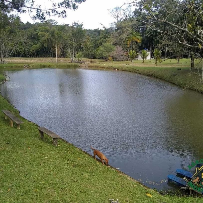 Sítio 11,5 Alq. em Registro/SP – Vale do Ribeira