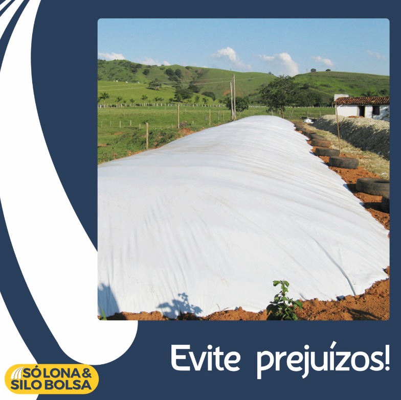 LONA ECO - 12M X 50M