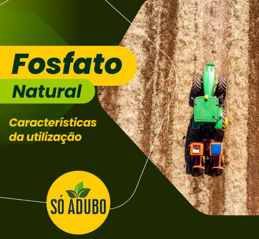 FOSFATO 19 - FARELADO (BAG OU SC 50 KG)