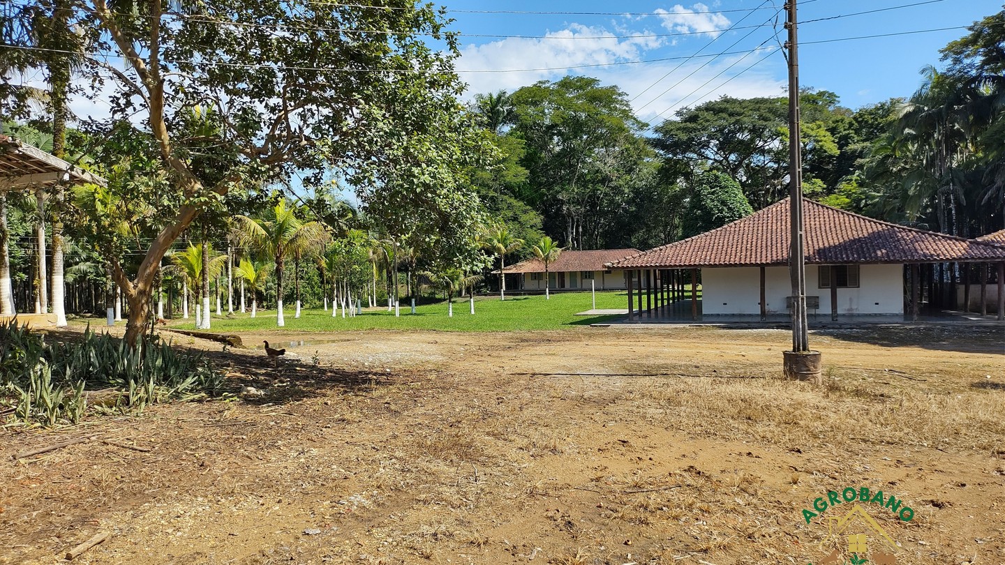 Fazenda 480 Alq. em Sete Barras/SP