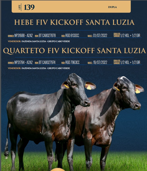 LOTE 139 - HEBE FIV KICKOFF SANTA LUZIA E QUARTETO FIV KICKOFF SANTA LUZIA