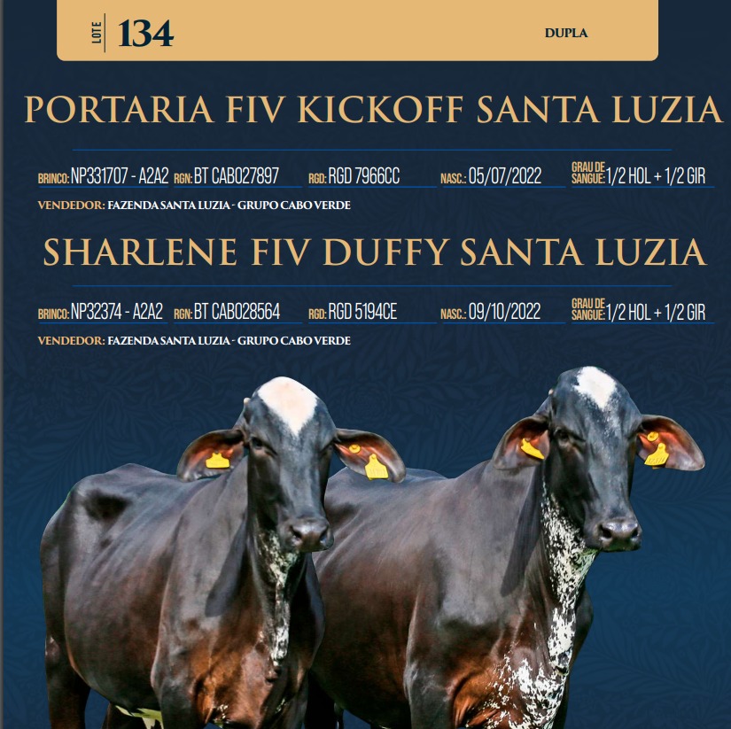 LOTE 134 - PORTARIA FIV KICKOFF SANTA LUZIA E SHARLENE FIV DUFFY SANTA LUZIA