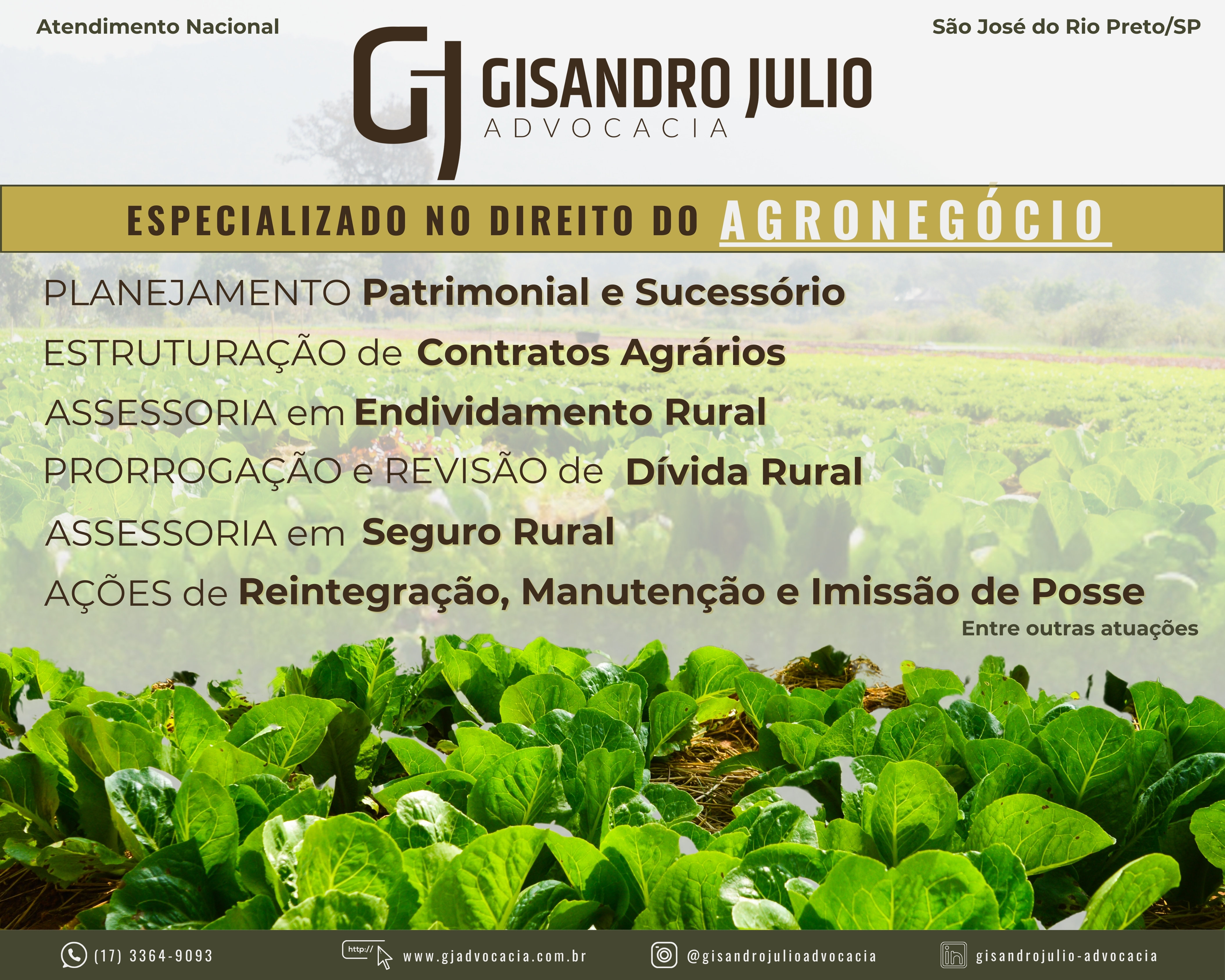 Planejamento Patrimonial e Holding Rural – Gisandro Julio Advocacia
