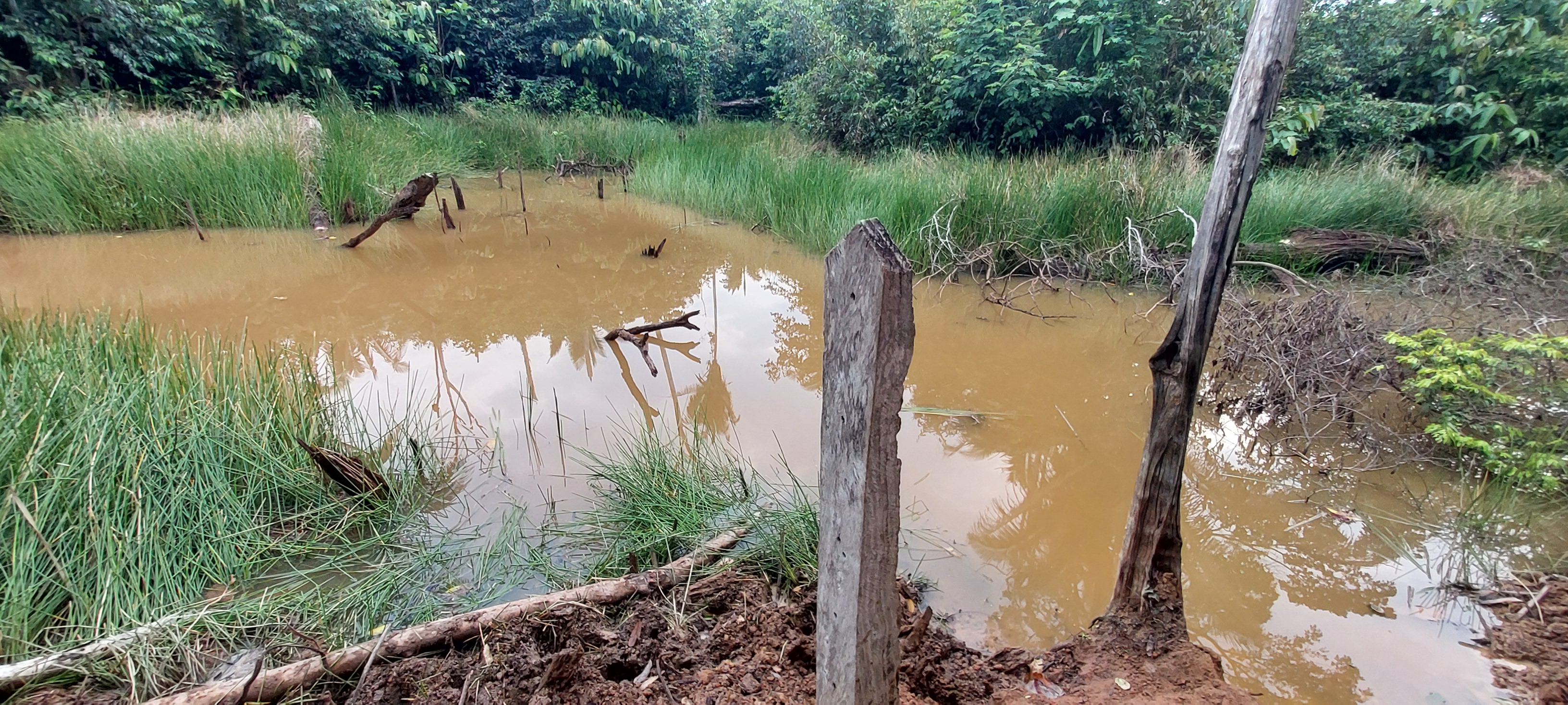 VENDO SÍTIO DE 23 ALQ