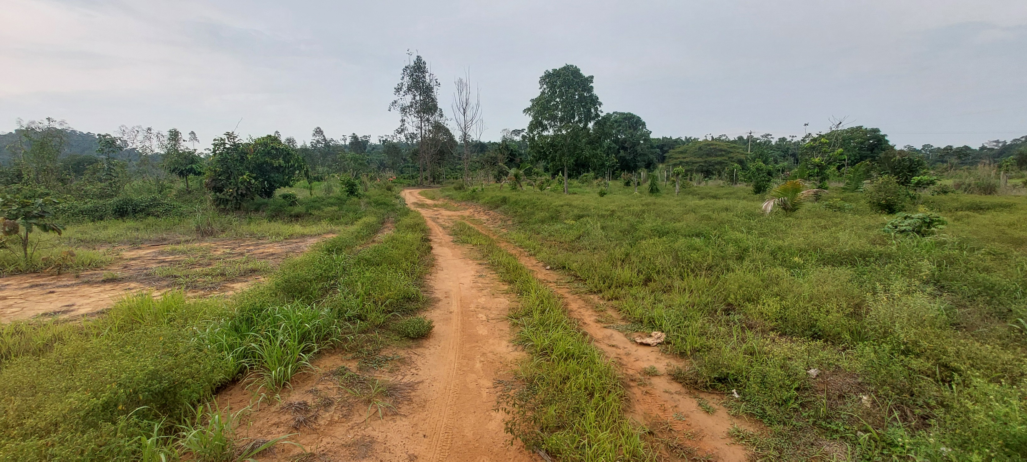 VENDO SÍTIO DE 23 ALQ