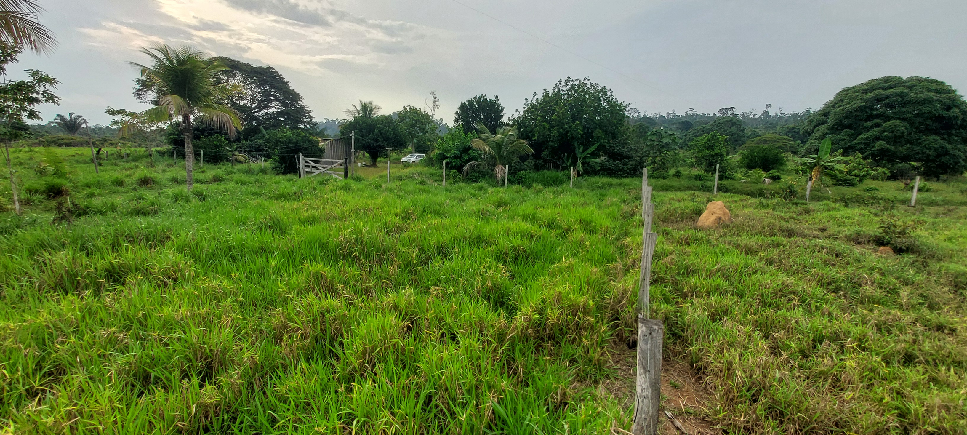 VENDO SÍTIO DE 23 ALQ