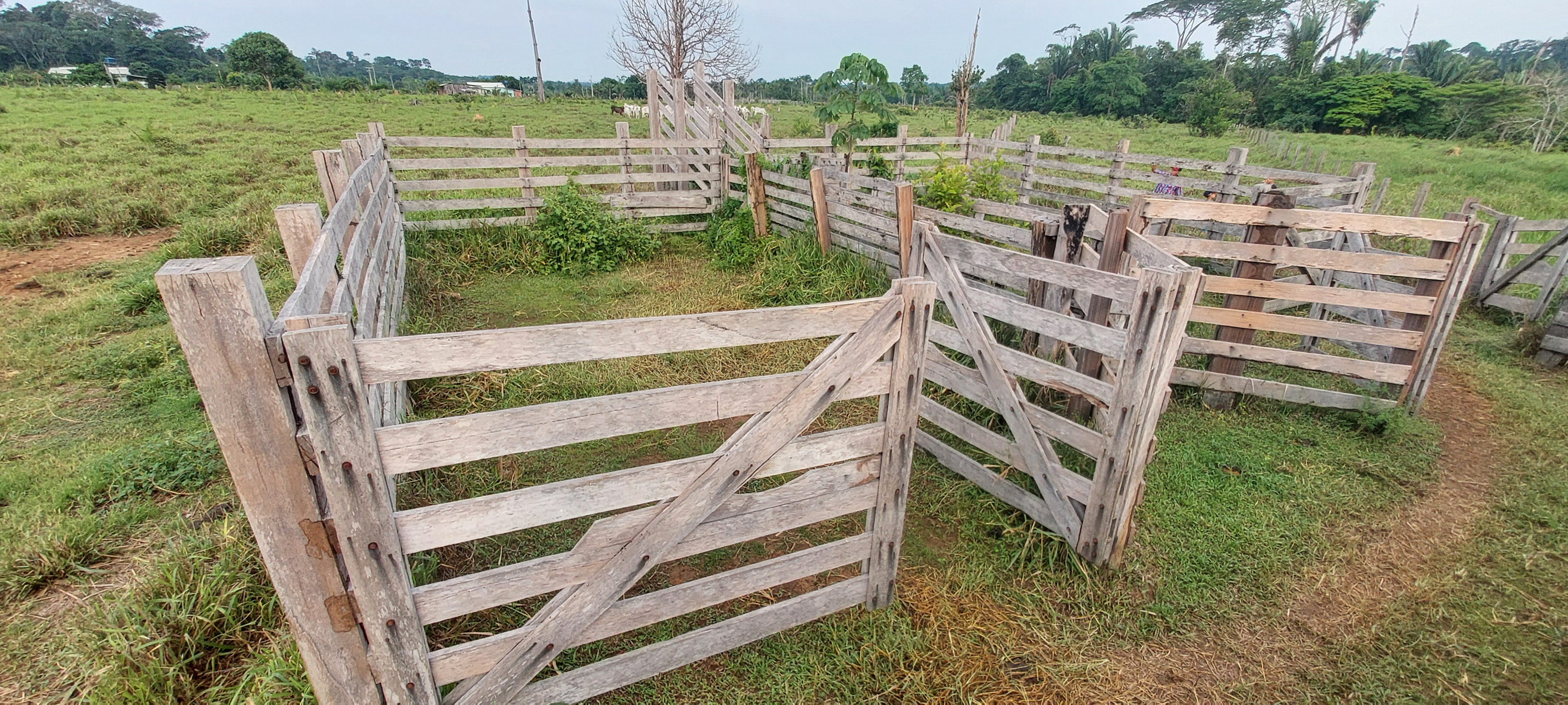 VENDO SÍTIO DE 23 ALQ