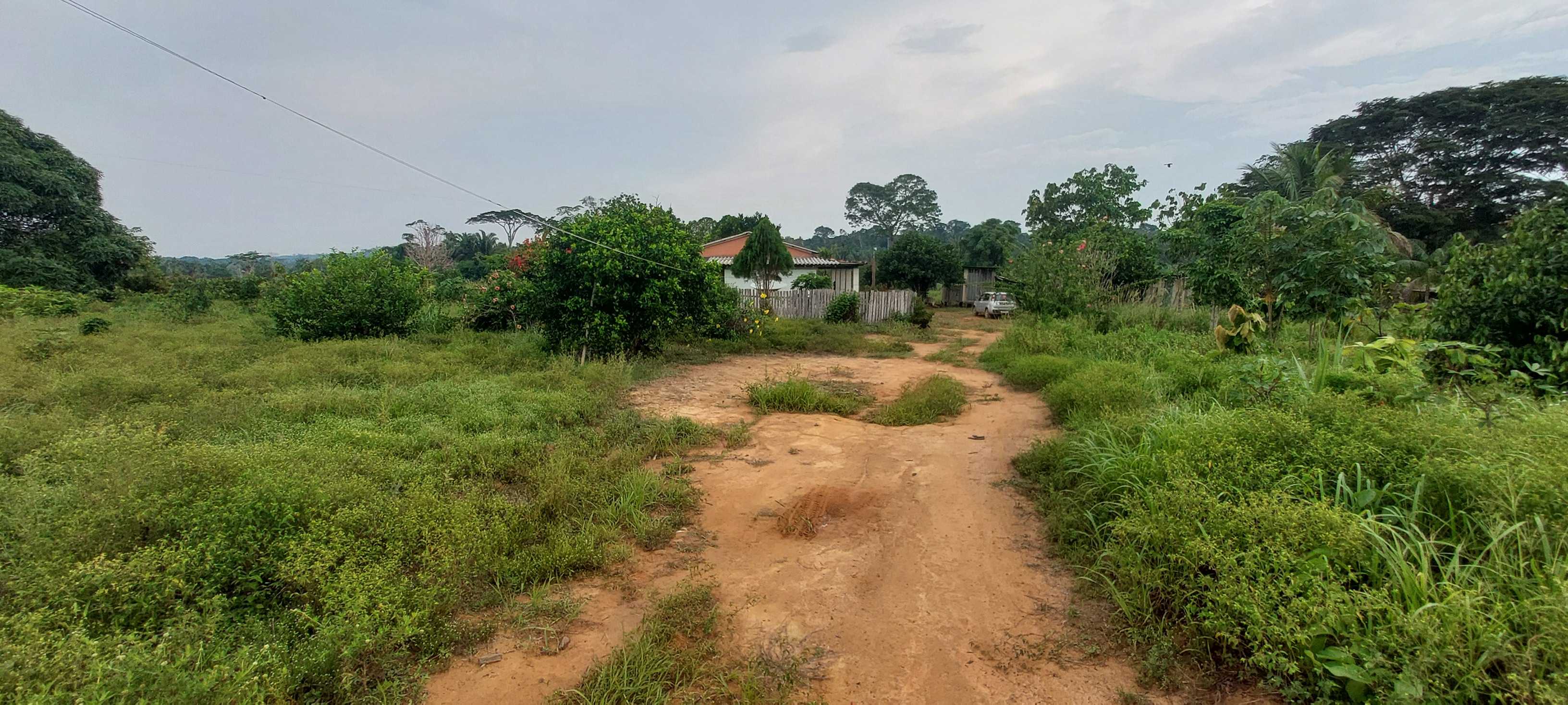 VENDO SÍTIO DE 23 ALQ