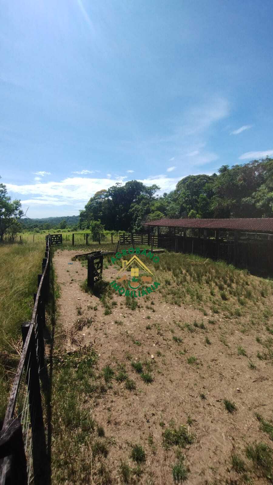 Fazenda à venda em Registro/SP - Vale do Ribeira.