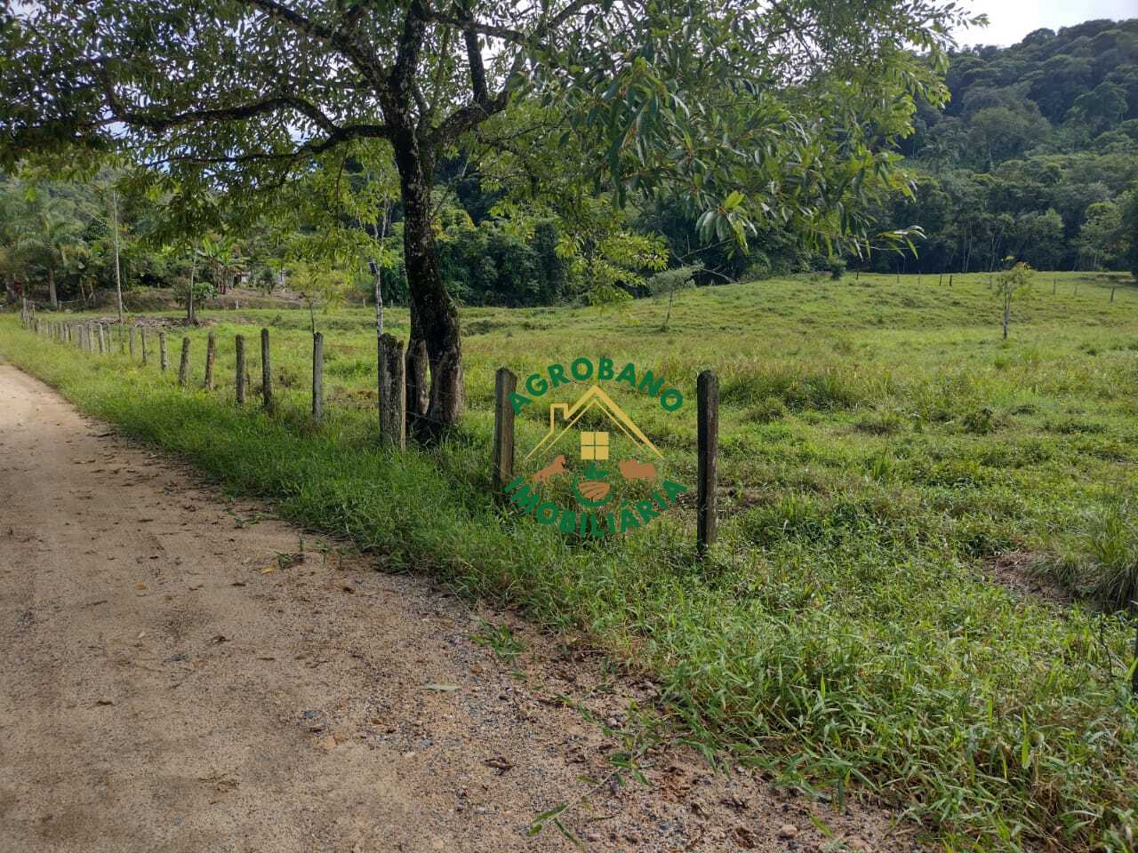 Sítio à venda em Juquiá/SP - Vale do Ribeira.