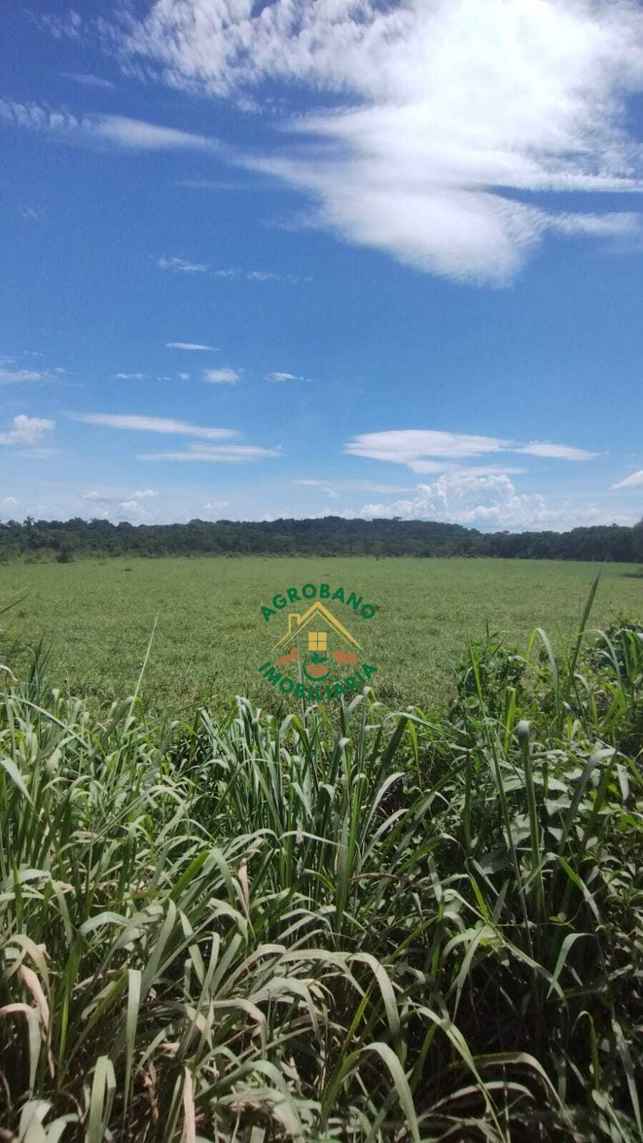 Fazenda à venda em Registro/SP - Vale do Ribeira.