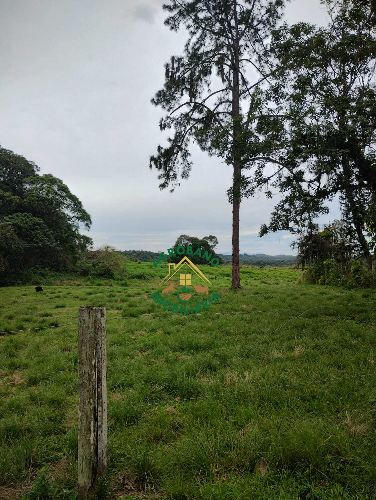 Fazenda à venda em Registro/SP - Vale do Ribeira.