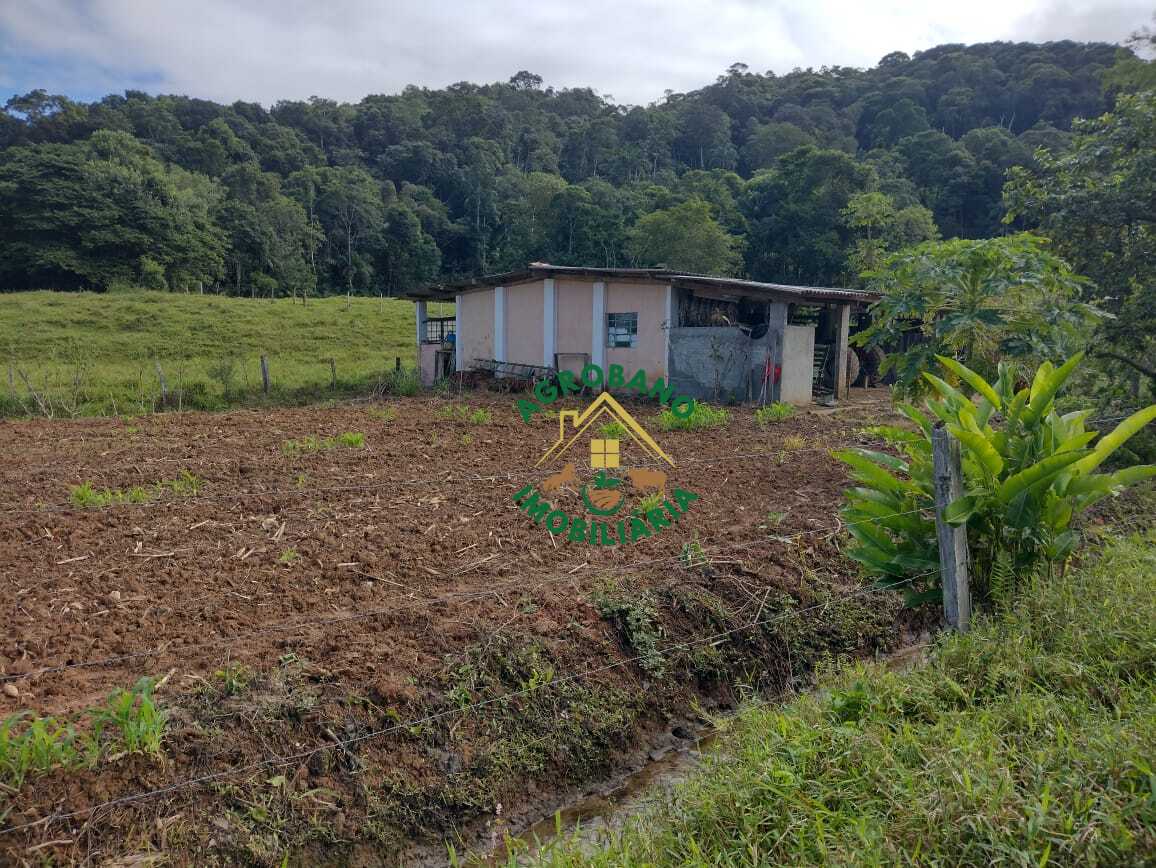 Sítio à venda em Juquiá/SP - Vale do Ribeira.