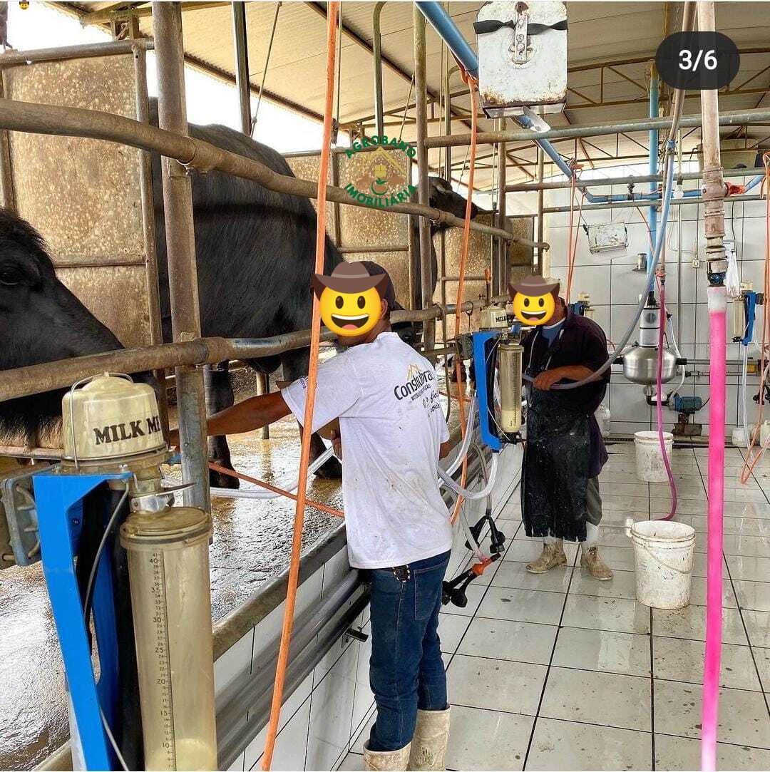 Fazenda em Santana do Itararé/PR - Paraná.