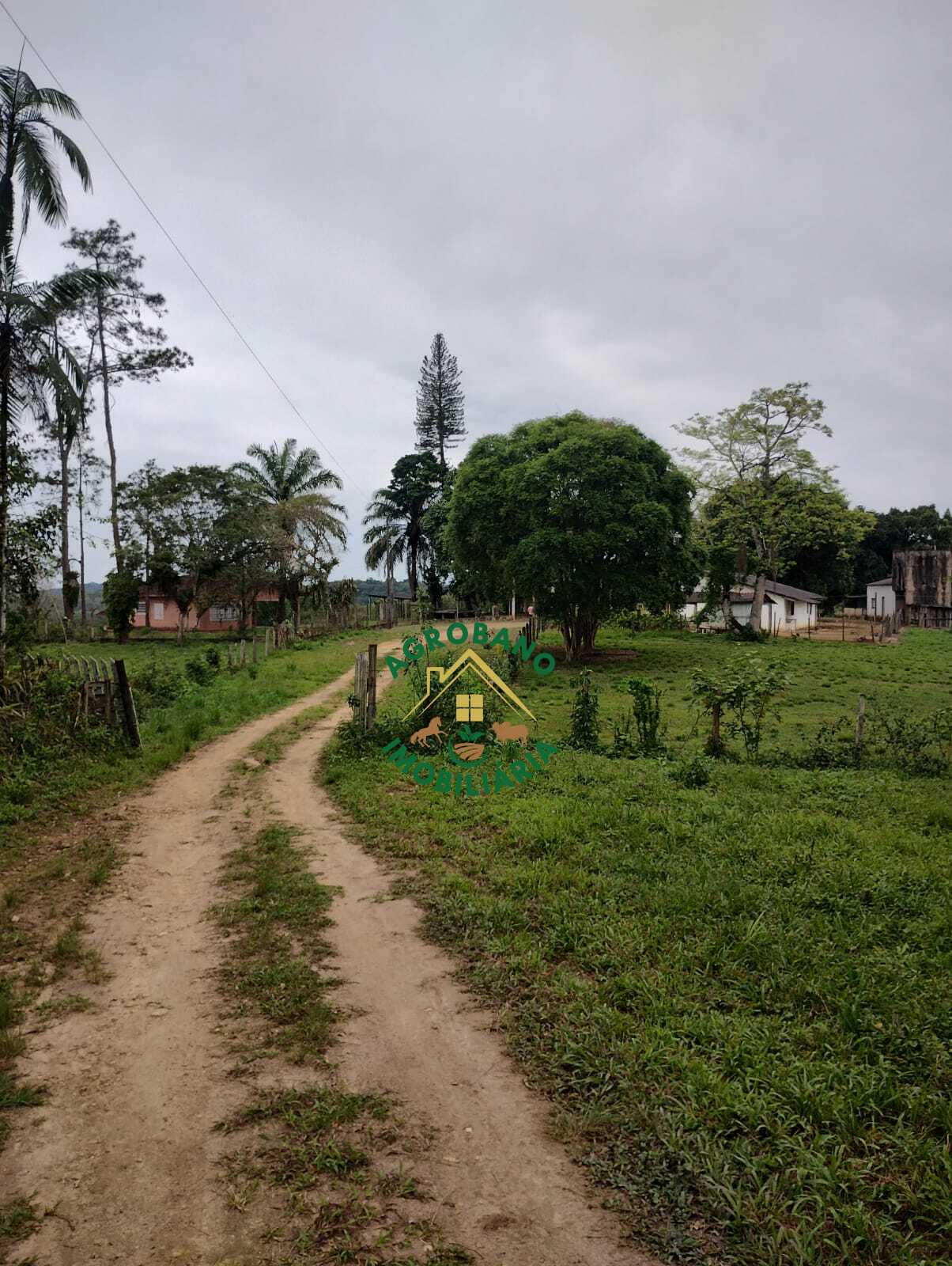 Fazenda à venda em Registro/SP - Vale do Ribeira.