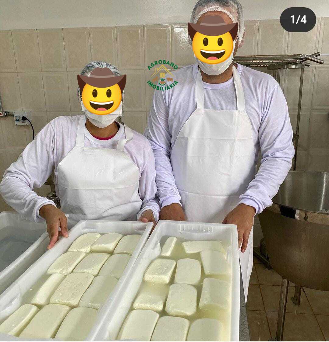 Fazenda em Santana do Itararé/PR - Paraná.