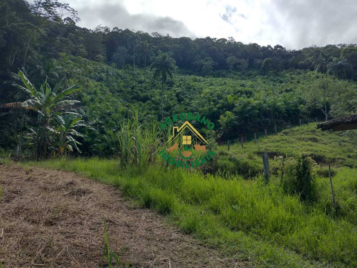 Sítio à venda em Juquiá/SP - Vale do Ribeira.
