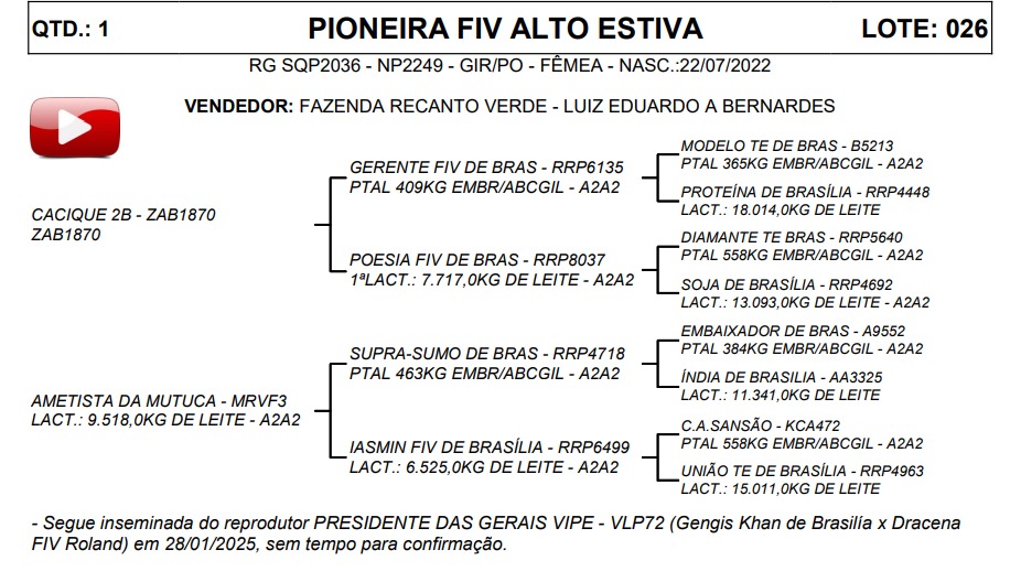 LOTE 26 PIONEIRA FIV ALTO ESTIVA SQP2036
