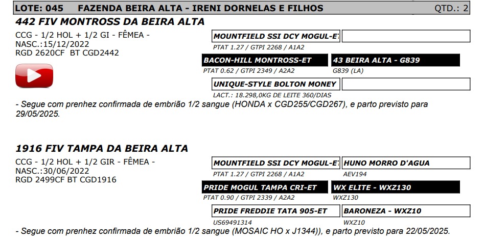 LOTE 45 2499-CF 2620-CF