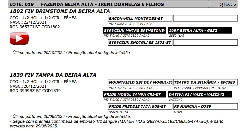 LOTE 19 3657-CJ 3999-BZ