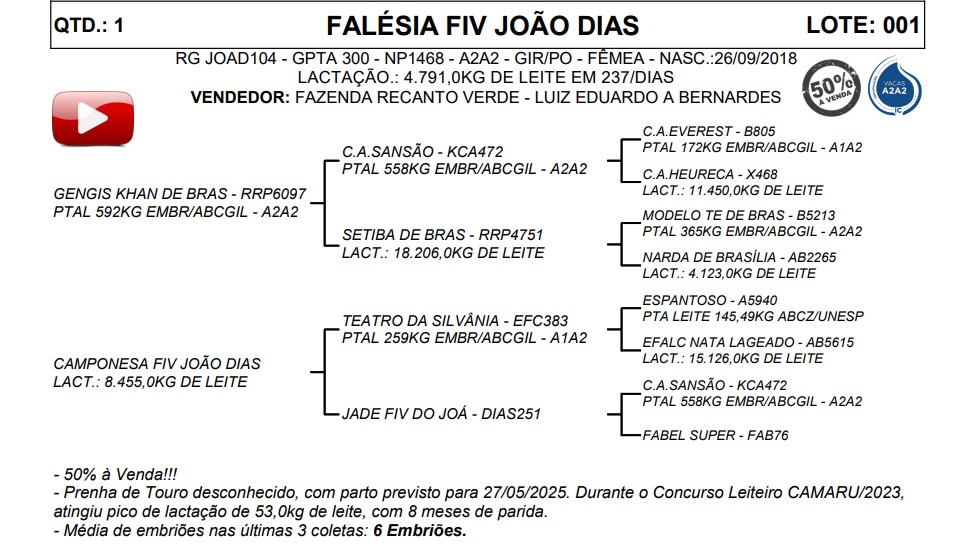 LOTE 01 FALÉSIA FIV JOÃO DIAS JOAD104