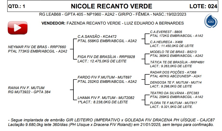 LOTE 24 NICOLE RECANTO VERDE LEAB68