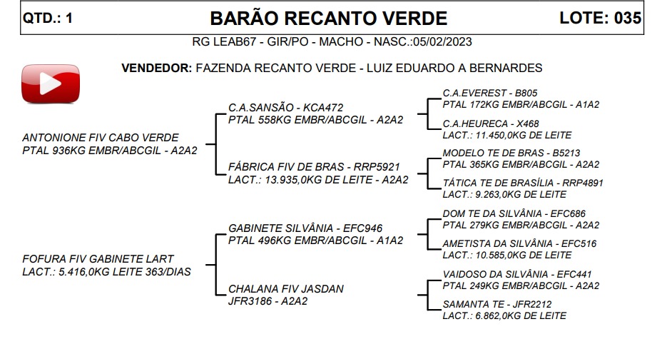 LOTE 35 BARÃO RECANTO VERDE LEAB67