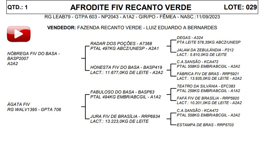 LOTE 29 AFRODITE FIV RECANTO VERDE LEAB79