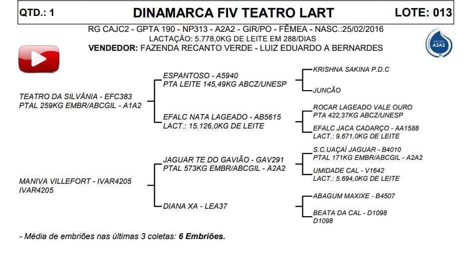 LOTE 13 DINAMARCA FIV TEATRO LART CAJC2
