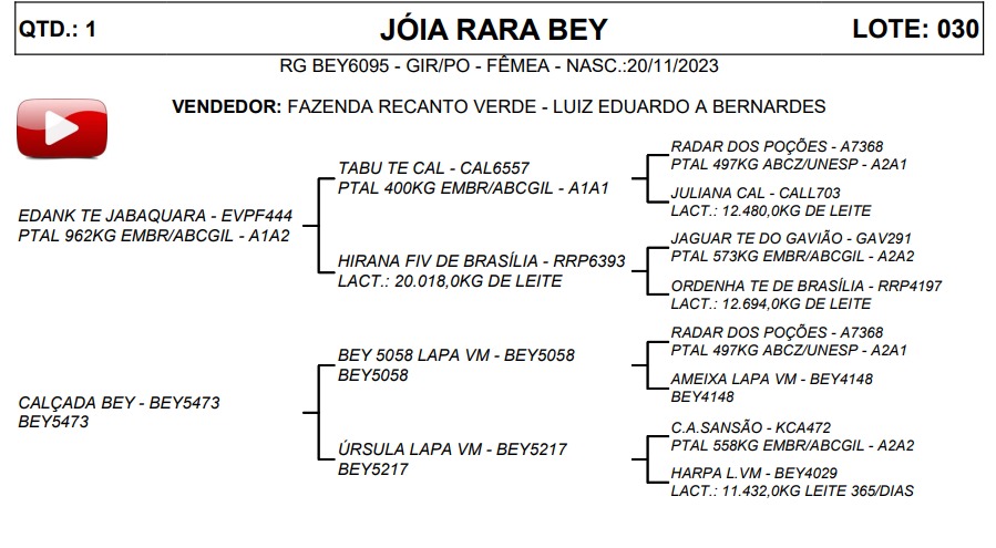 LOTE 30 JÓIA RARA BEY BEY6095