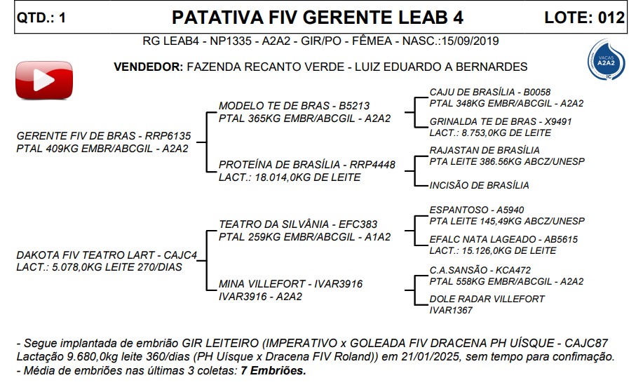 LOTE 12 PATATIVA FIV GERENTE LEAB 4 LEAB4