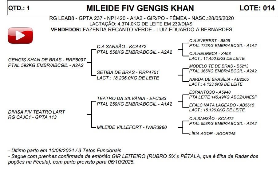 LOTE 14 MILEIDE FIV GENGIS KHAN LEAB8