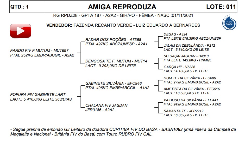 LOTE 11 AMIGA REPRODUZA RPDZ28