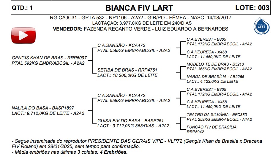 LOTE 03 BIANCA FIV LART CAJC31