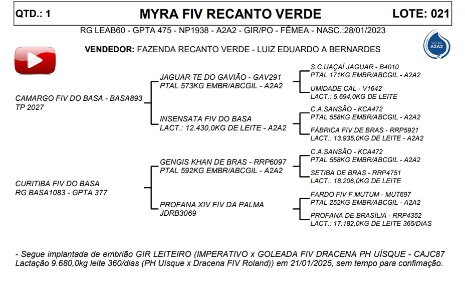 LOTE 21 MYRA FIV RECANTO VERDE LEAB60