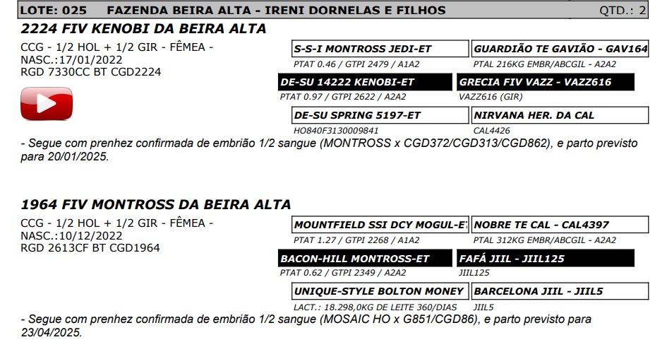 LOTE 25 7330-CC 2613-CF