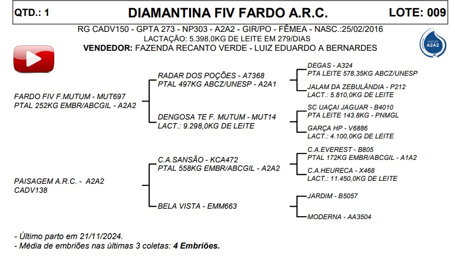 LOTE 09 DIAMANTINA FIV FARDO A.R.C. CADV150
